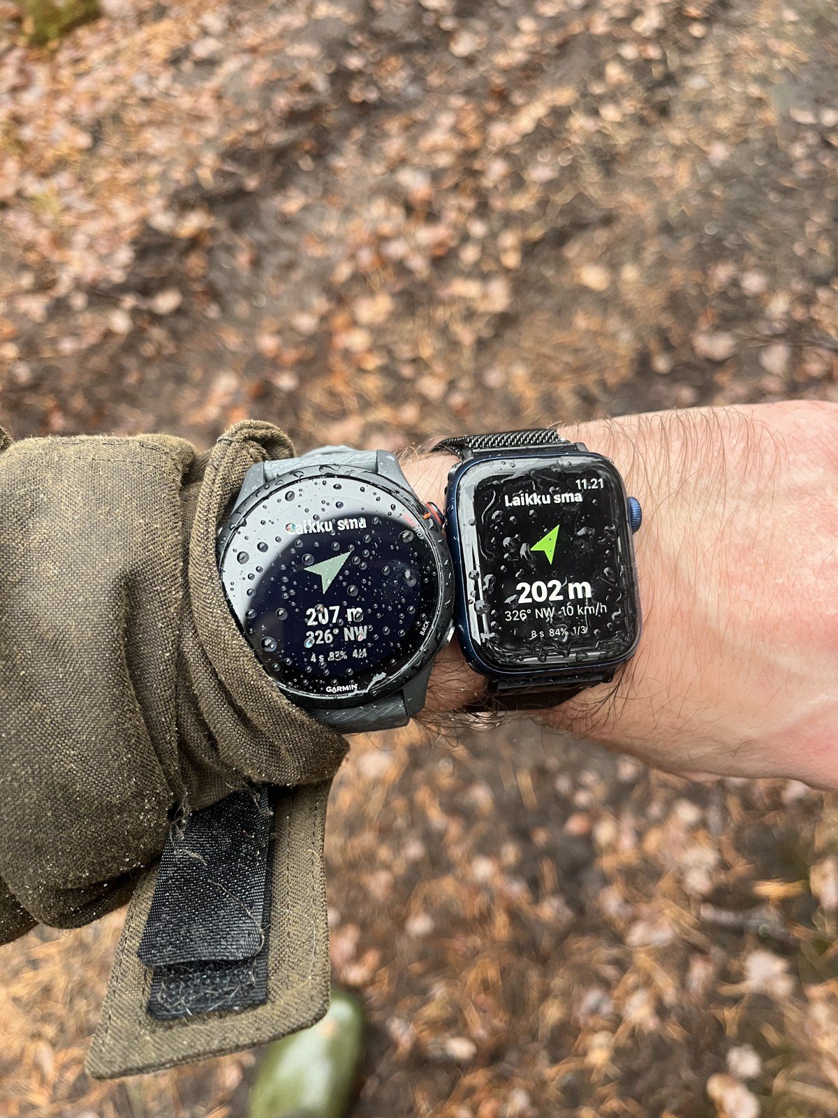Garmin ja Apple Watch sateessa, sama koira molemmissa.